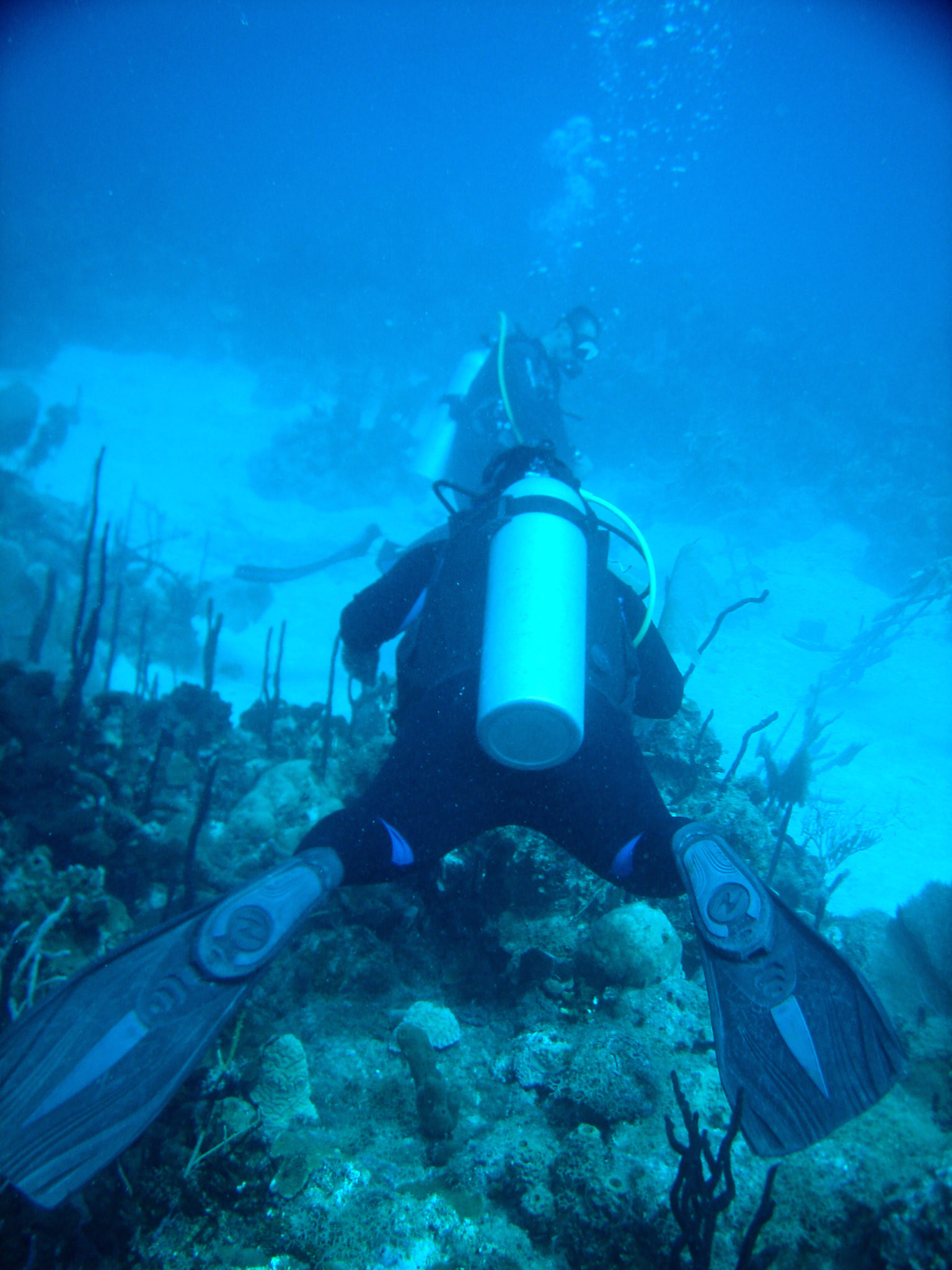 Republique_dominicaine_roadtrip_bayahibe_plongee_scubafun_hema_dominicus_reef