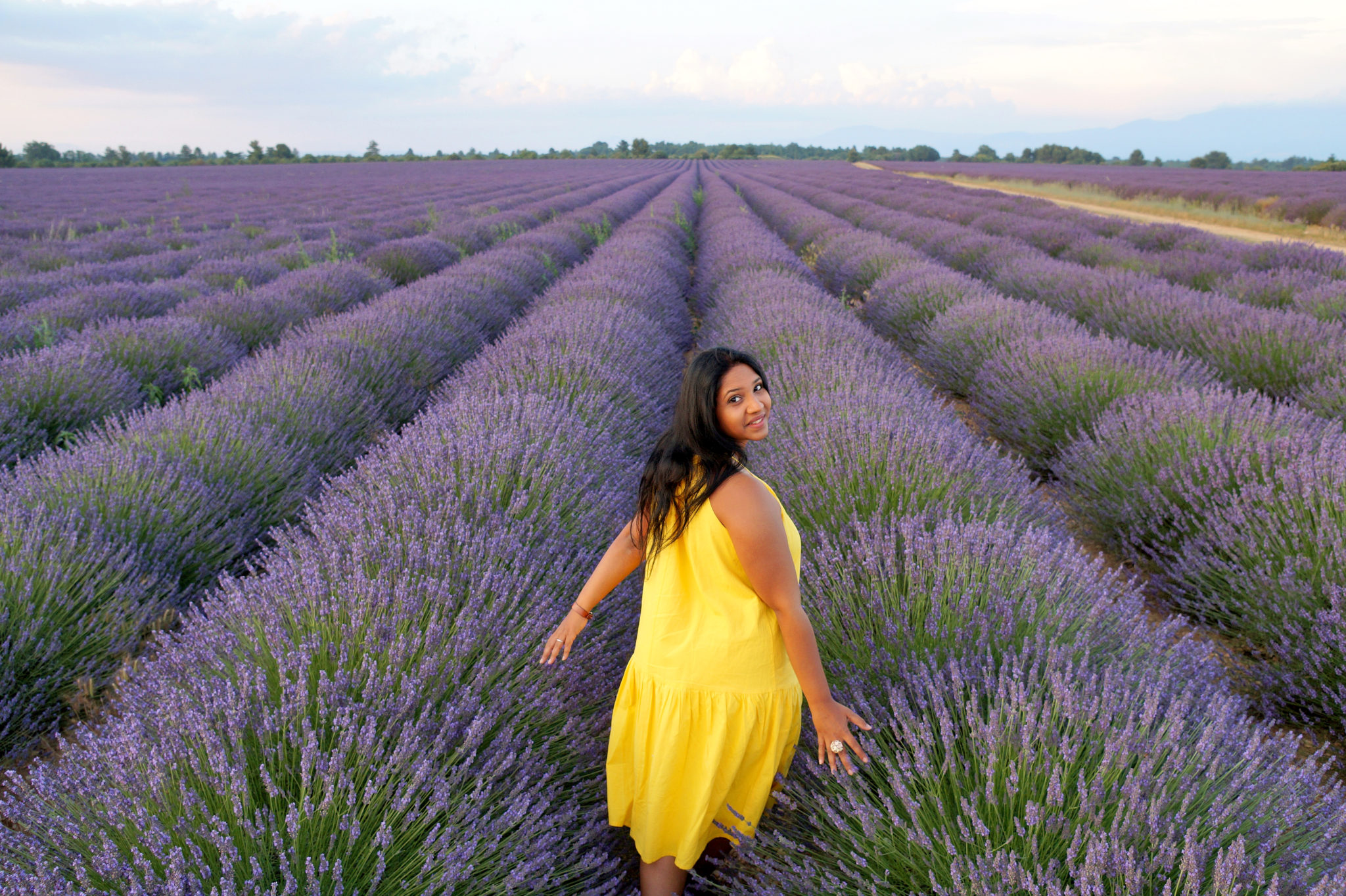 Parfums de Provence : un amour de lavande