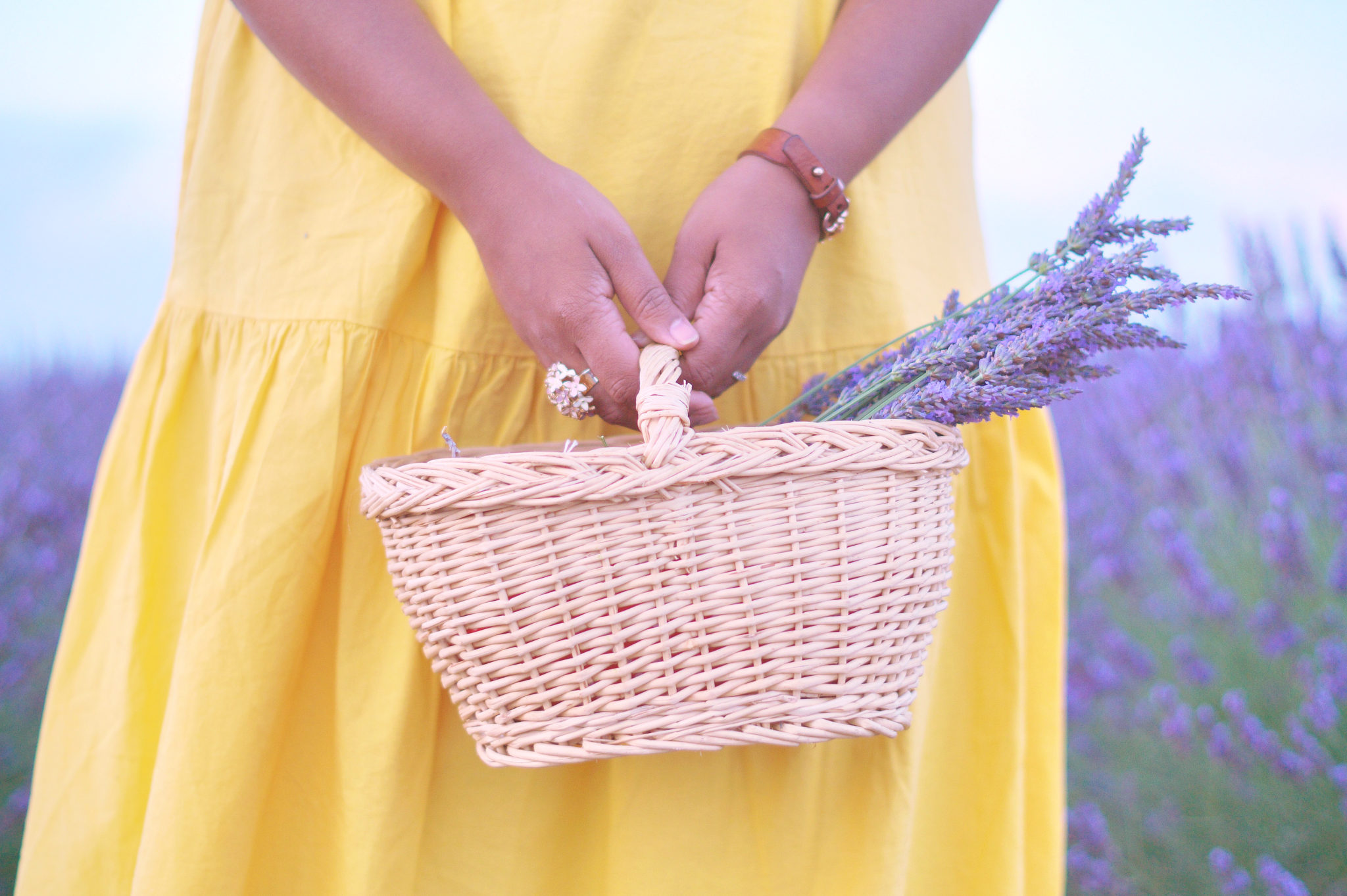 Hema_pose_ses_valises_champ_lavande_valensole_panier_look_mode