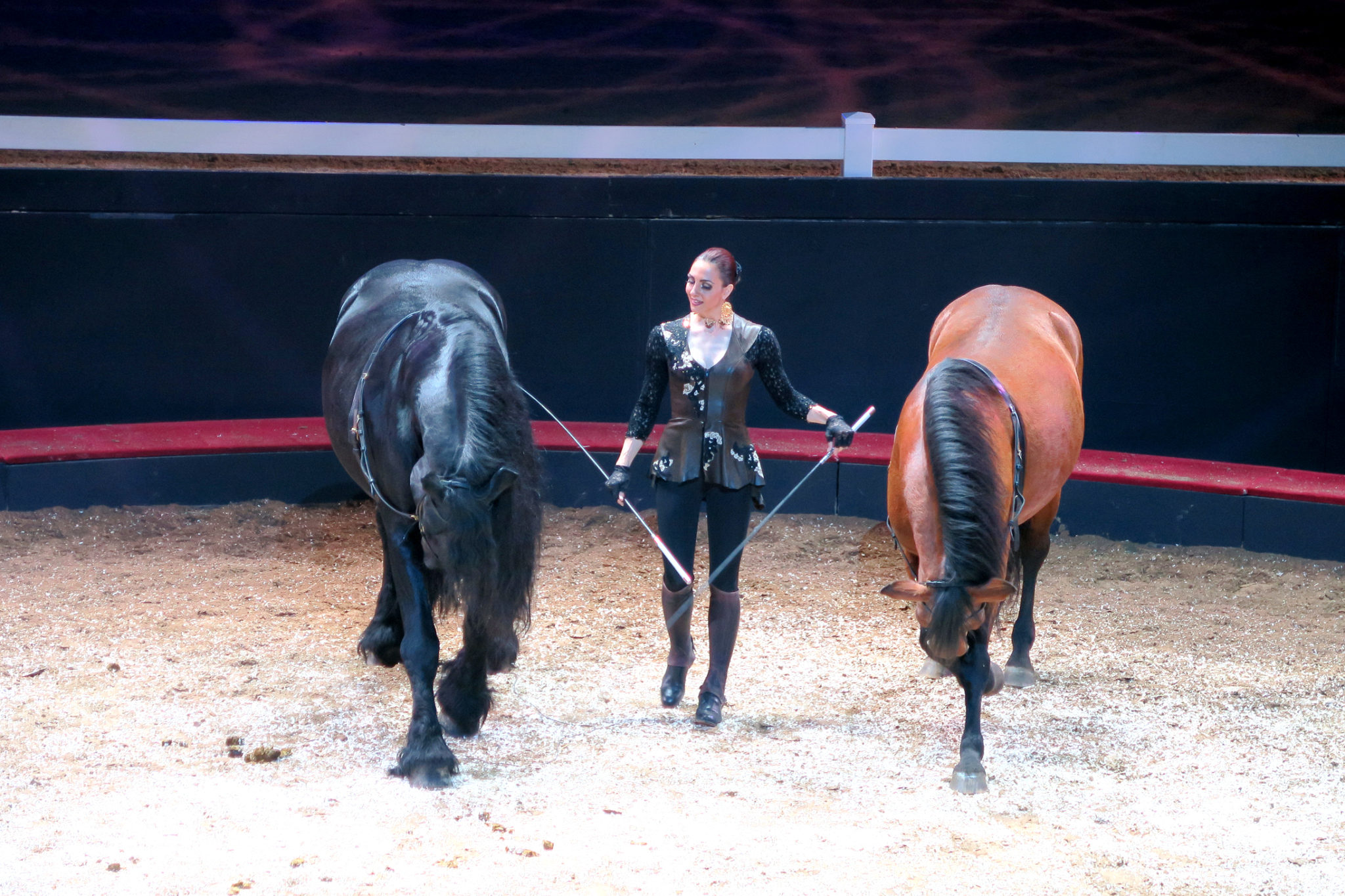 Theatre_antique_orange_duo_chevaux_reverence_alexis_gruss_2016