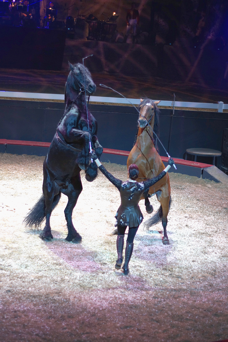Theatre_antique_orange_femme_duo_chevaux_cabre_alexis_gruss_2016