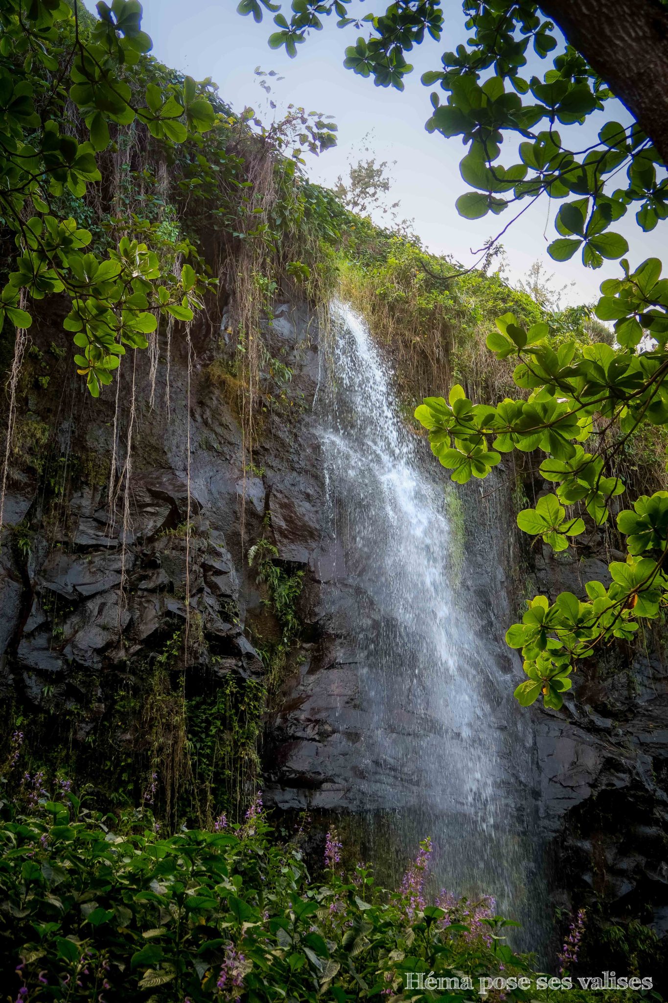 Une des nombreuses cascades de l'anse des cascades à La Réunion