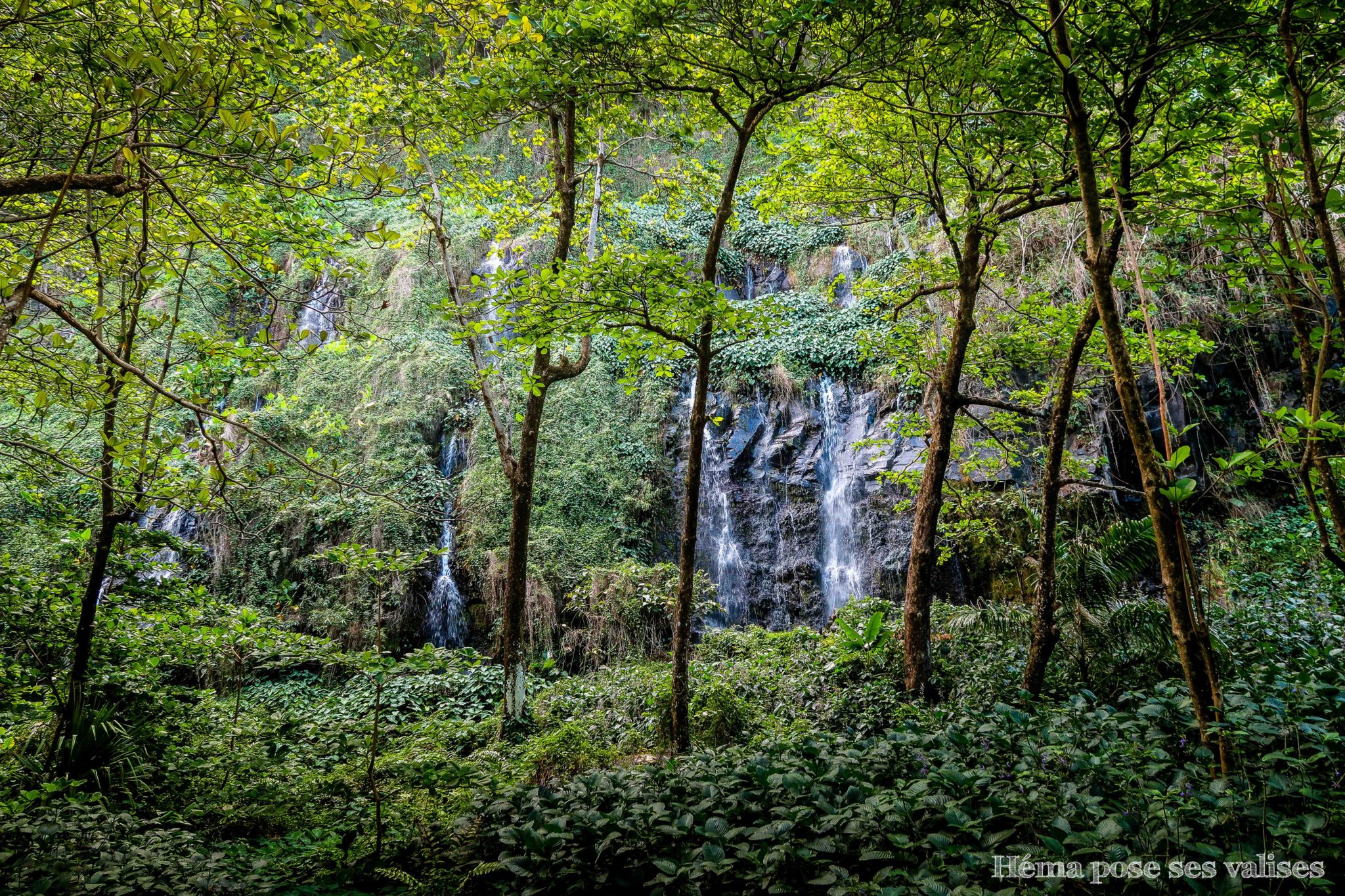 Vue des cascades de l'anse des cascades en se baladant à La Réunion