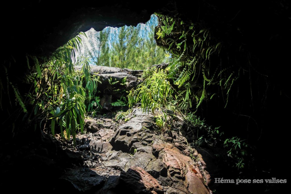 Sortie historique des explorateurs des tunnels de lave à La Réunion